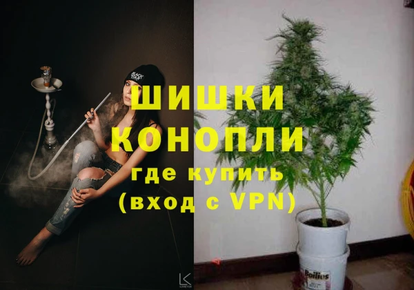 прущие крисы Вязьма